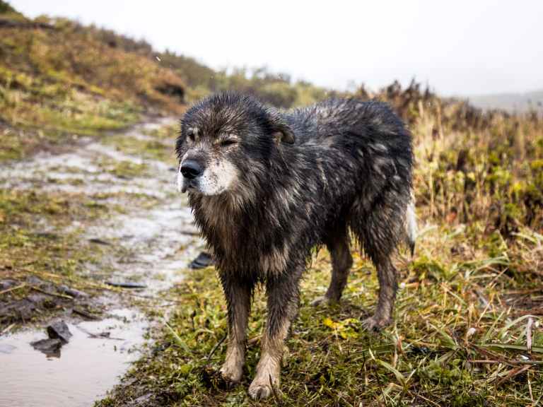 Singletrack Magazine Issue 118: Soviet Singletrack