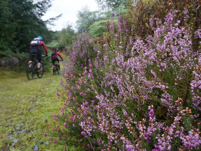 Singletrack Magazine Classic Ride 115: The Merrick