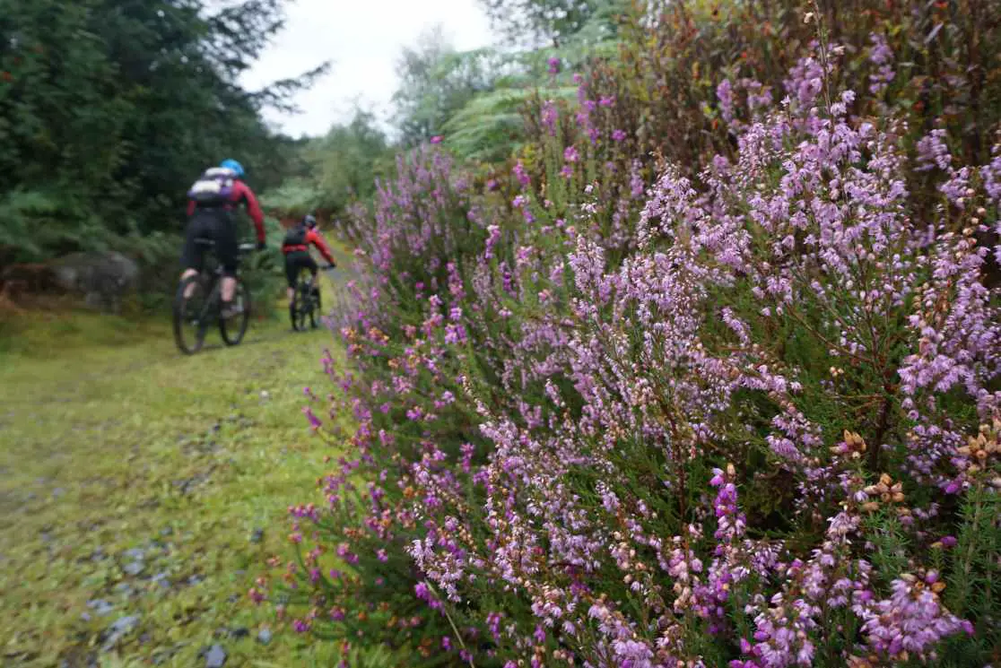 Singletrack Magazine Classic Ride 115: The Merrick