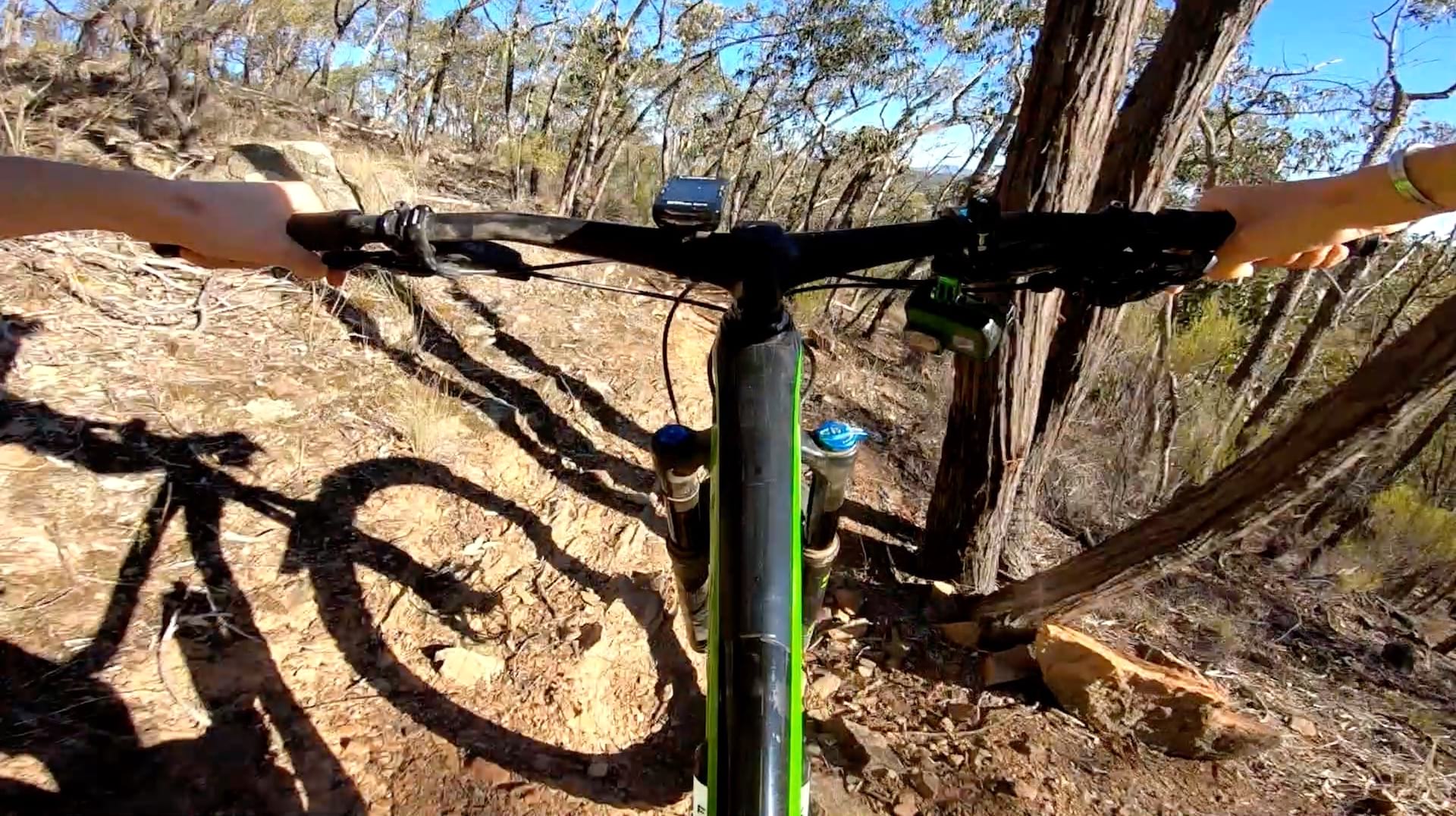 On Board | Testing Giant’s Speed-Hungry Trance 29er