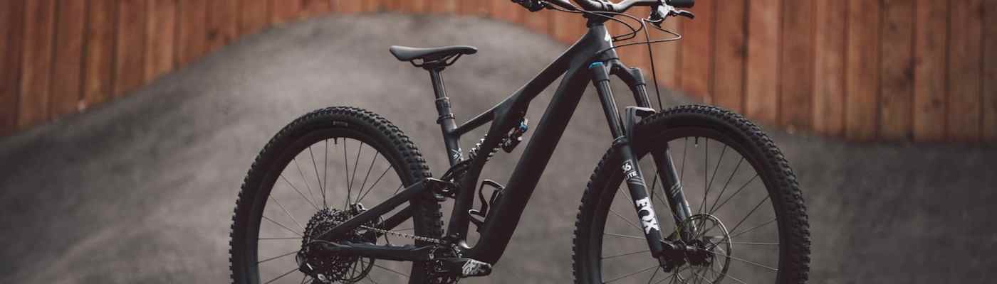 specialized stumpjumper evo carbon