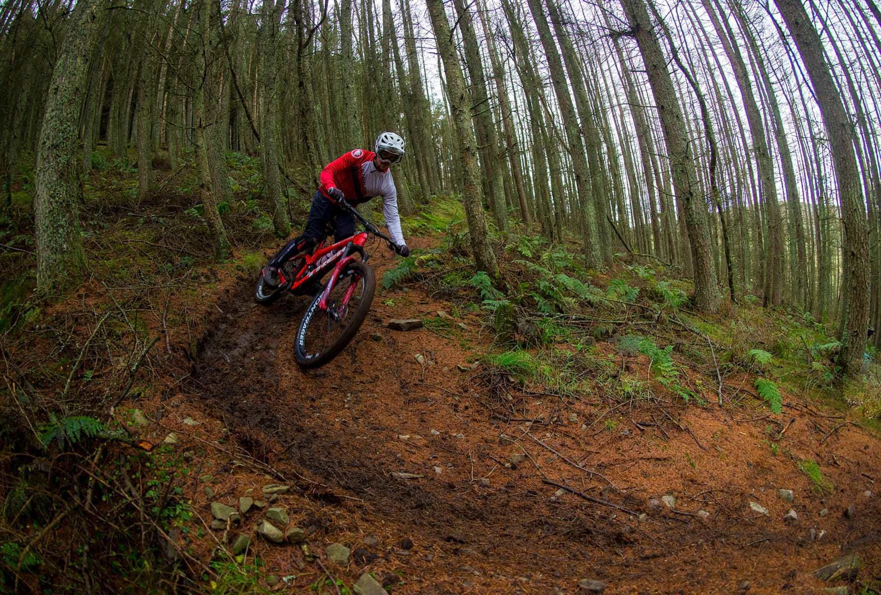 pete scullion Ruaridh Cunningham singletrack issue 123