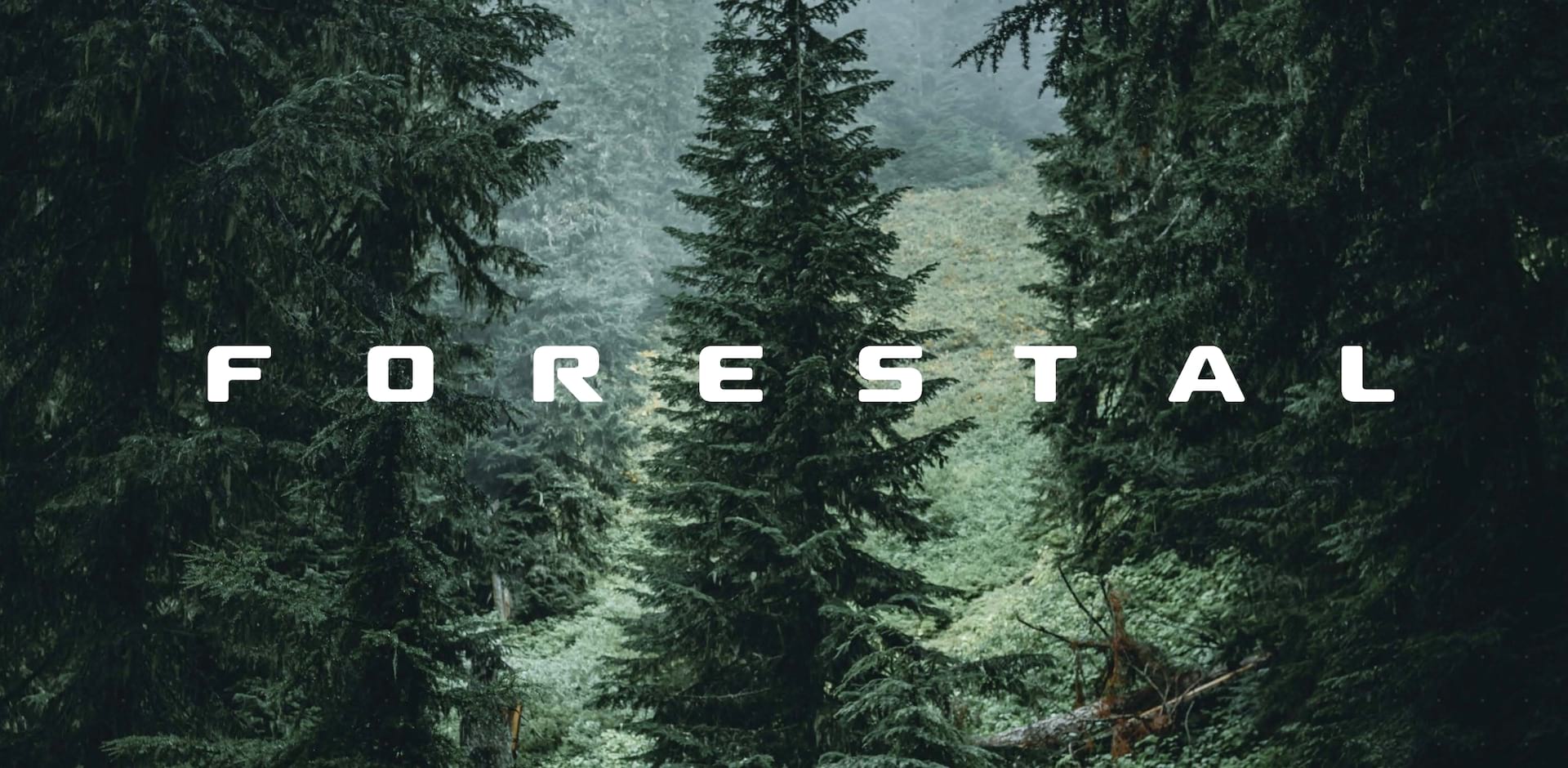 forestal bike cedric gracia