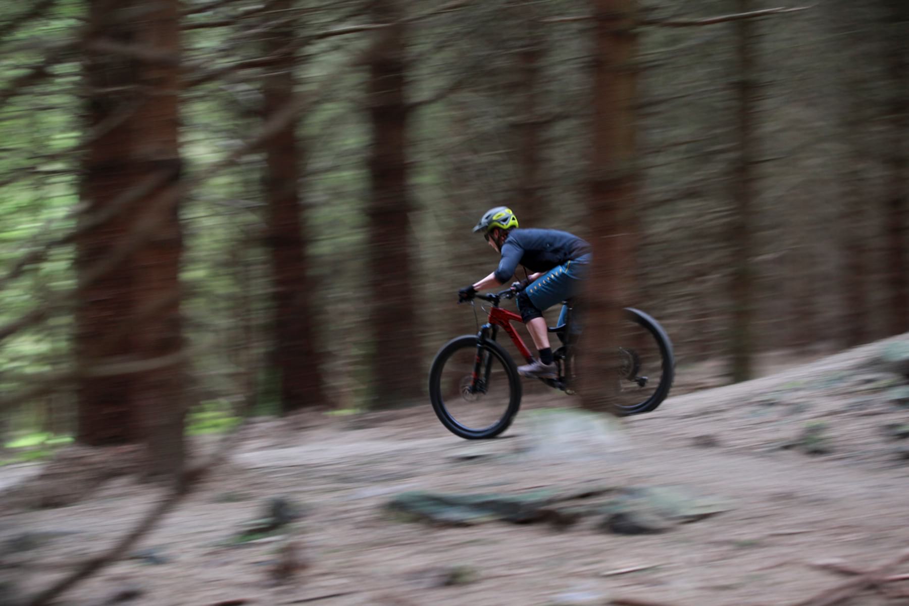 Liv Intrigue Advanced 1 2019 Riding Amanda