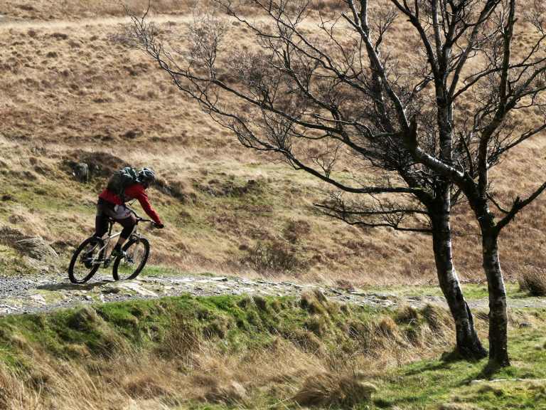 Singletrack Magazine Issue 113 : Gettin’ Grizzly