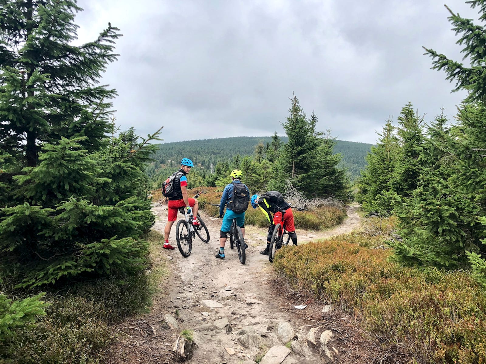 Singletrack Magazine Issue 123 : Bohemian Rhapsody