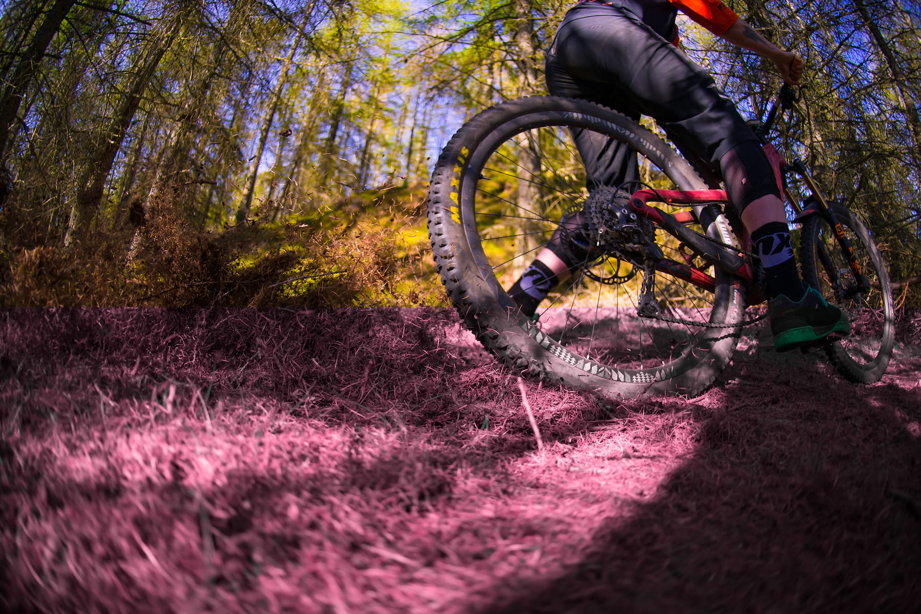 Singletrack Magazine Issue 113 : Dunkeld Exposé