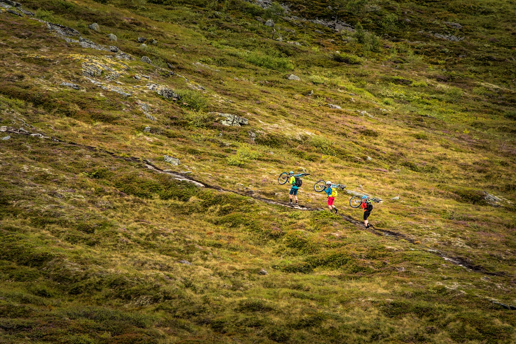 Singletrack Magazine Issue 116: Fjord Fiesta
