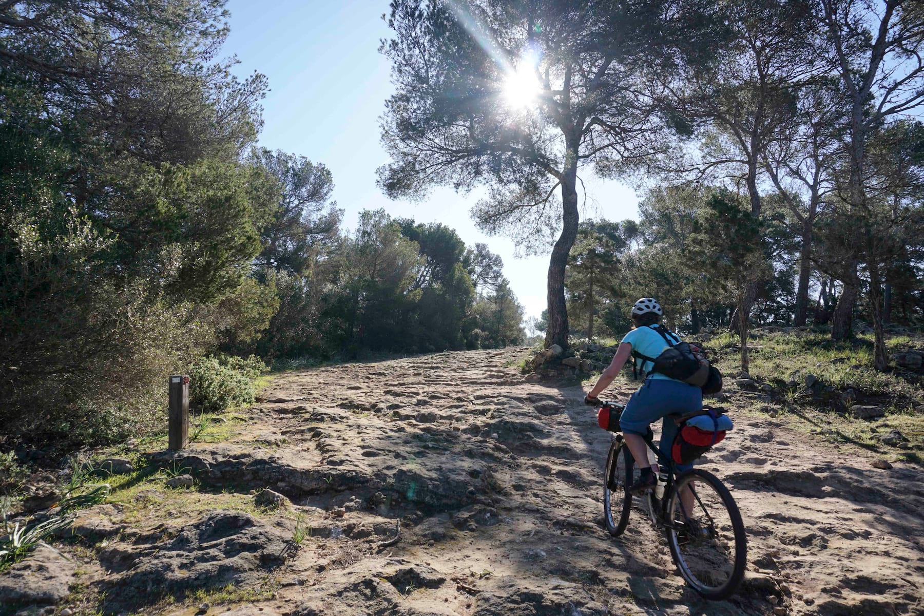 Singletrack Magazine Issue 113 : The Winter Sun Chancers