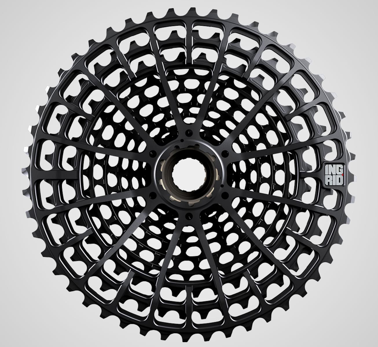 ingrid 12-speed cassette