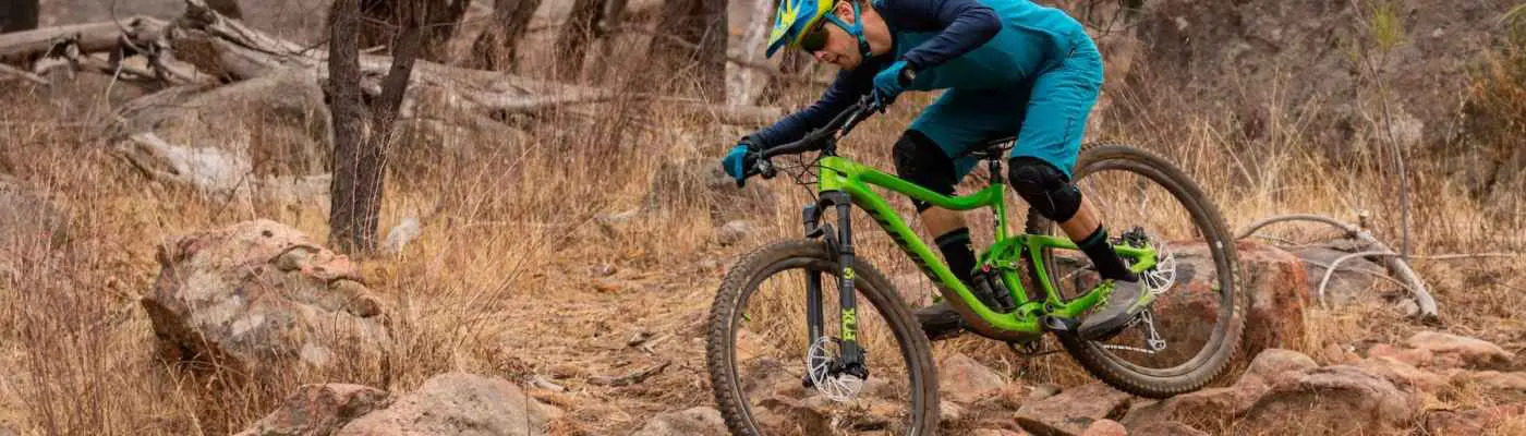 2019 giant trance advanced pro 29er 1 wil