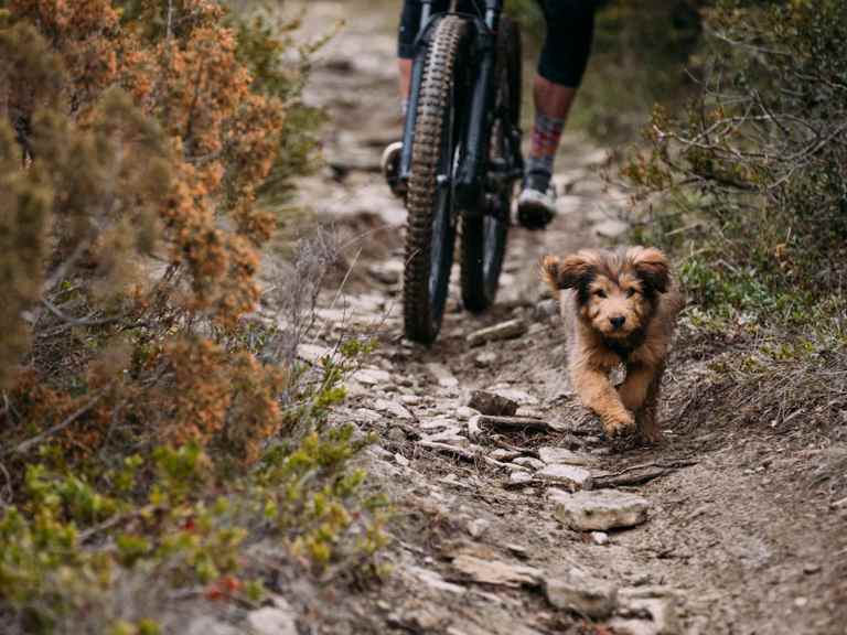 Singletrack Magazine Issue 121 : Editorial