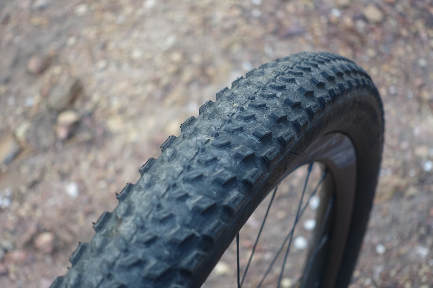 specialized fast trak tyre tire