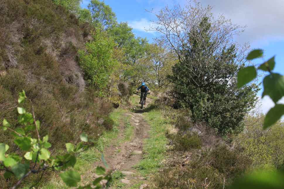 pace rc529 2019 andi rodwell steel hardtail hannah