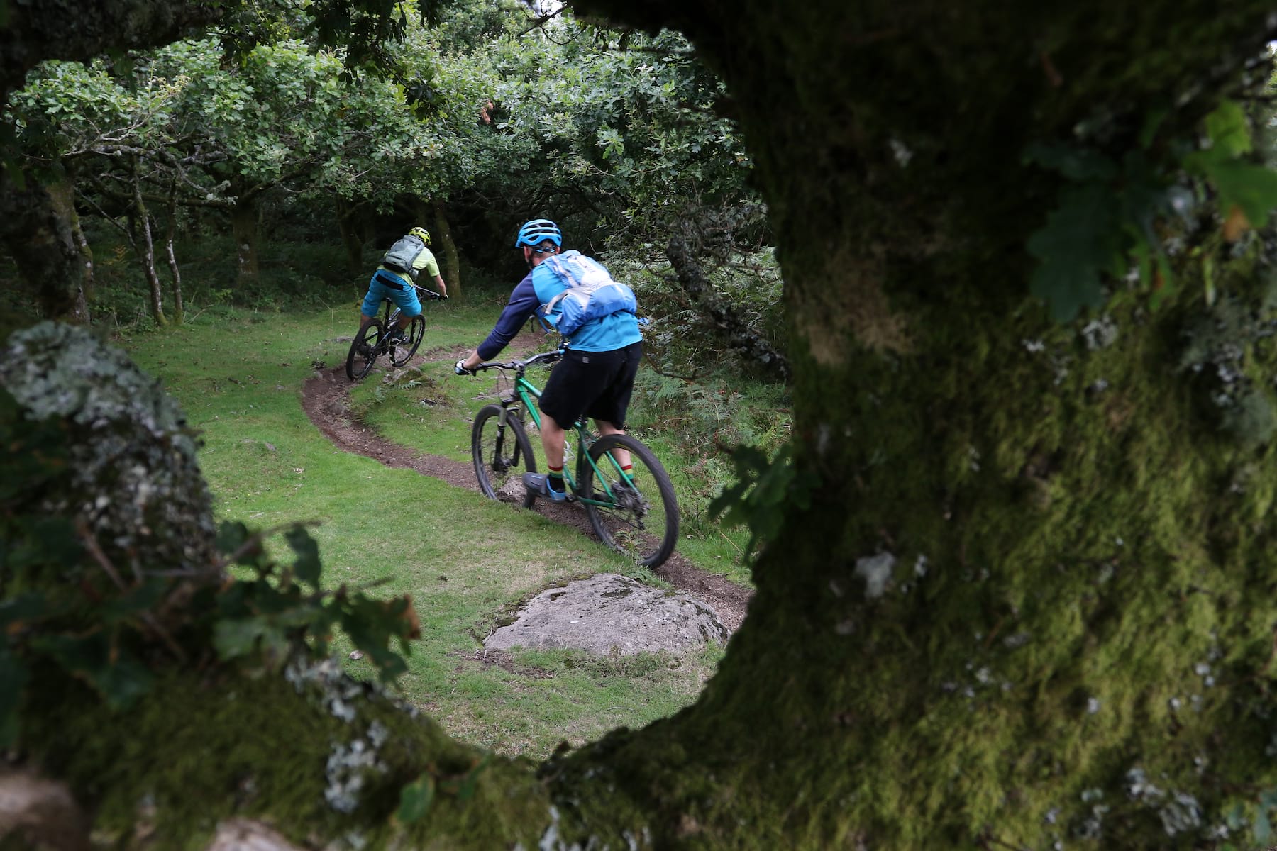 Singletrack Magazine issue 115: Trail Hinter – Dartmoor