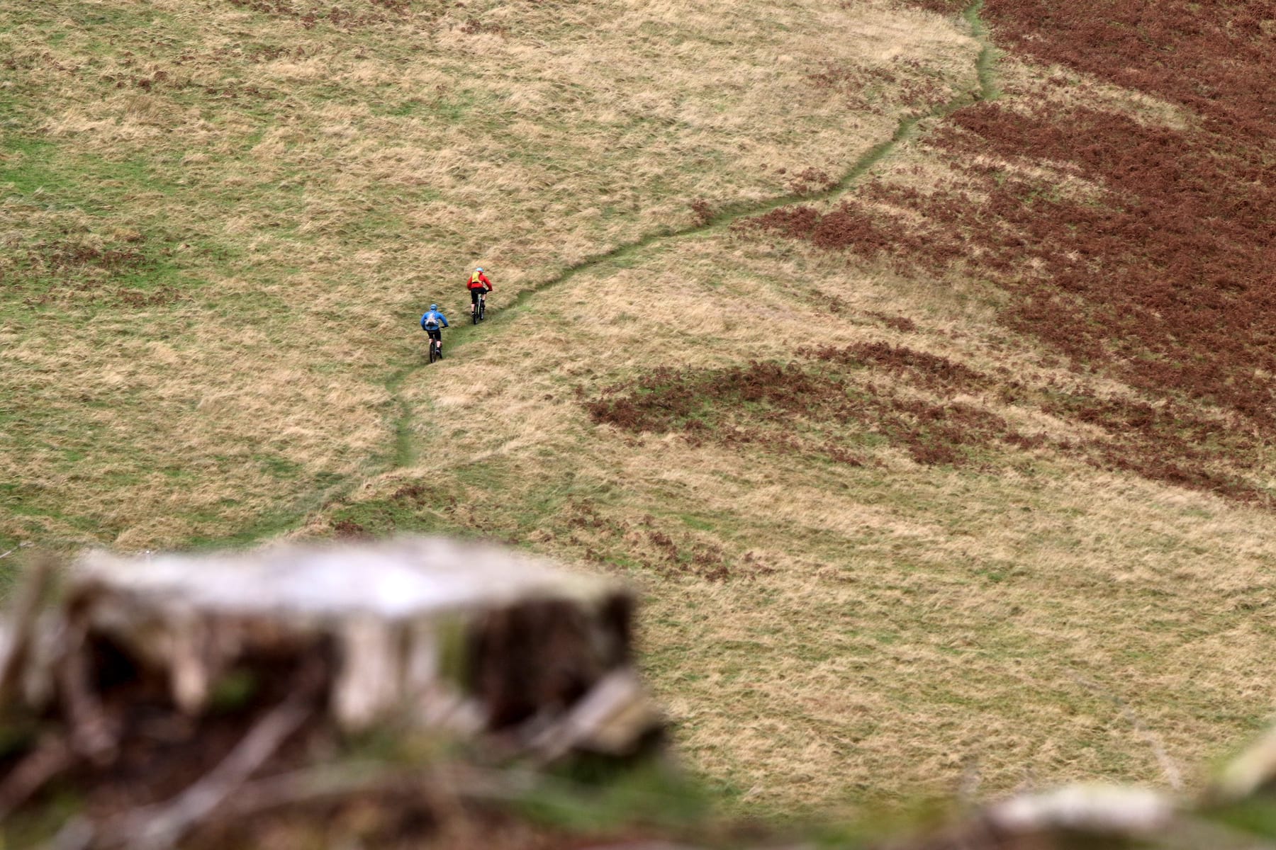 Singletrack Magazine Issue 117: Trail Hunter – Border Blasting