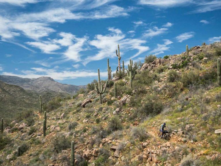 Singletrack Issue 126 | Panning For Trail Gold In Arizona