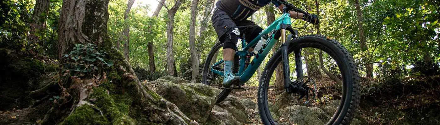 trek fuel ex 9.8 2019 review