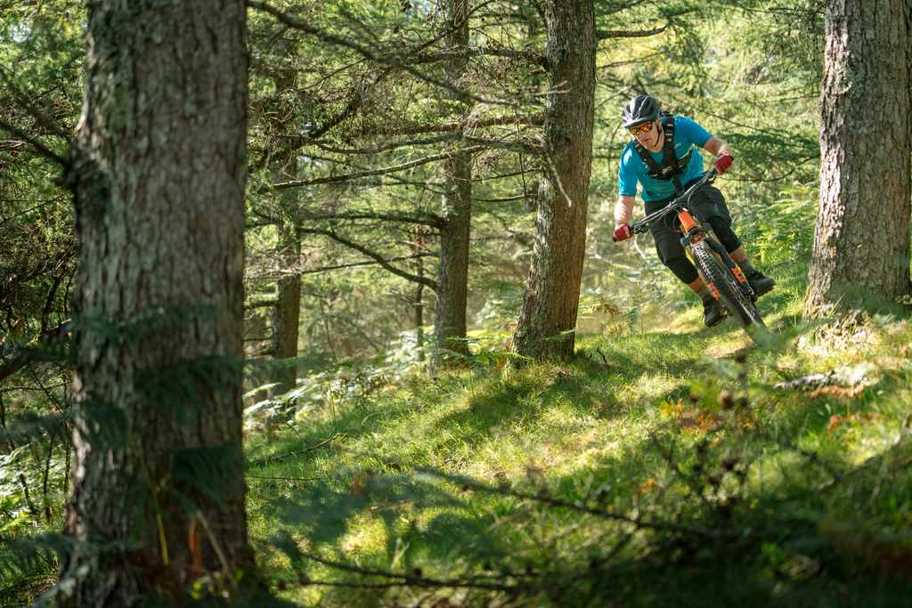 2020 Orbea Wild FS