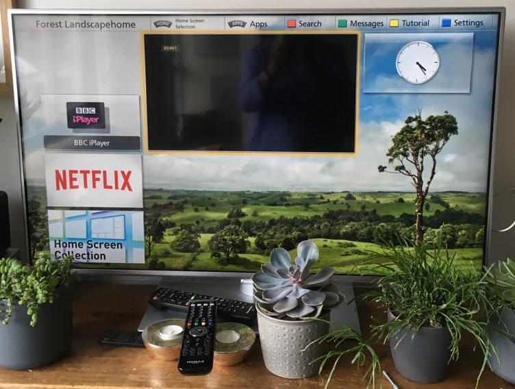 MTB Video Vault | Put Your Feet Up and Get Inspired