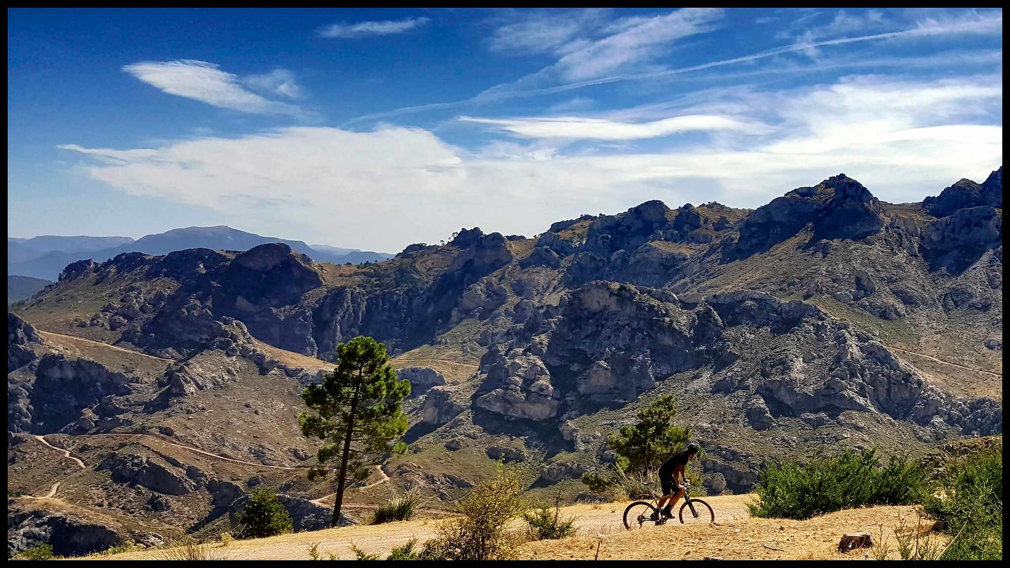 cool sierras tuesday treats