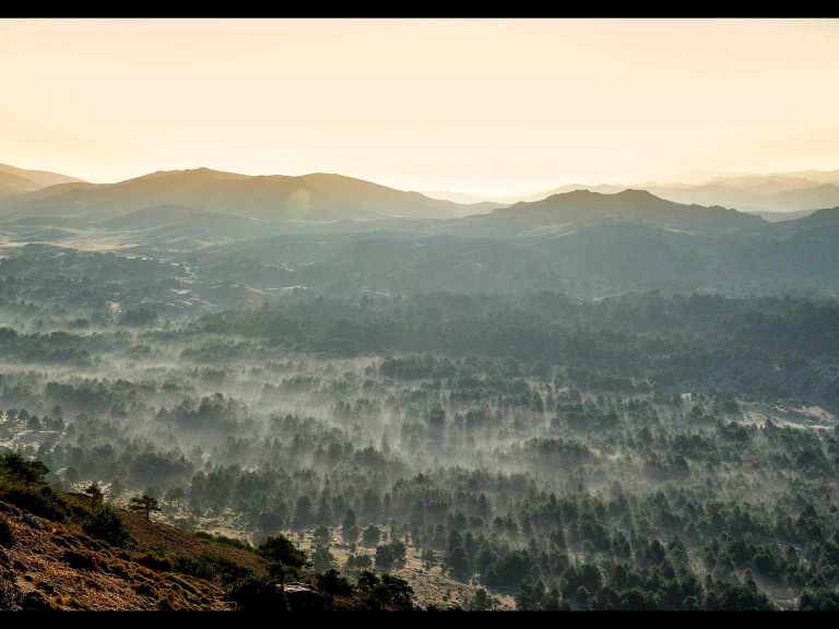 Tuesday Treats: Cool Sierras MTB Guiding