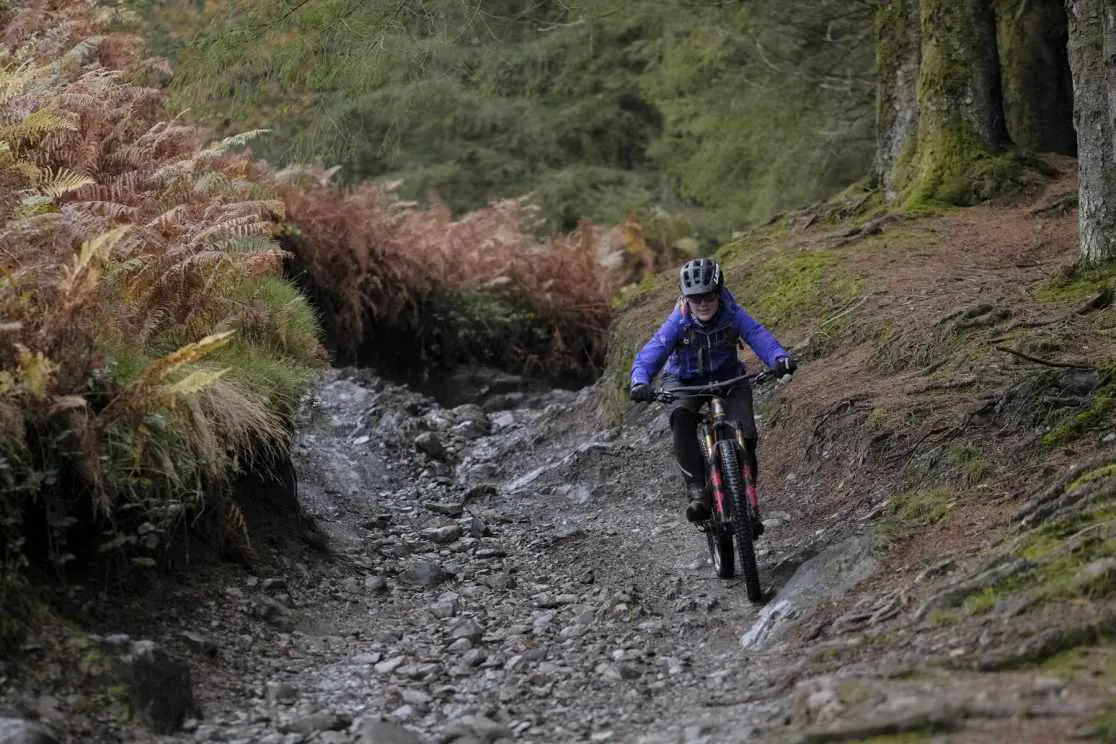 Singletrack Magazine Classic Ride 128 | All Weather Grizedale