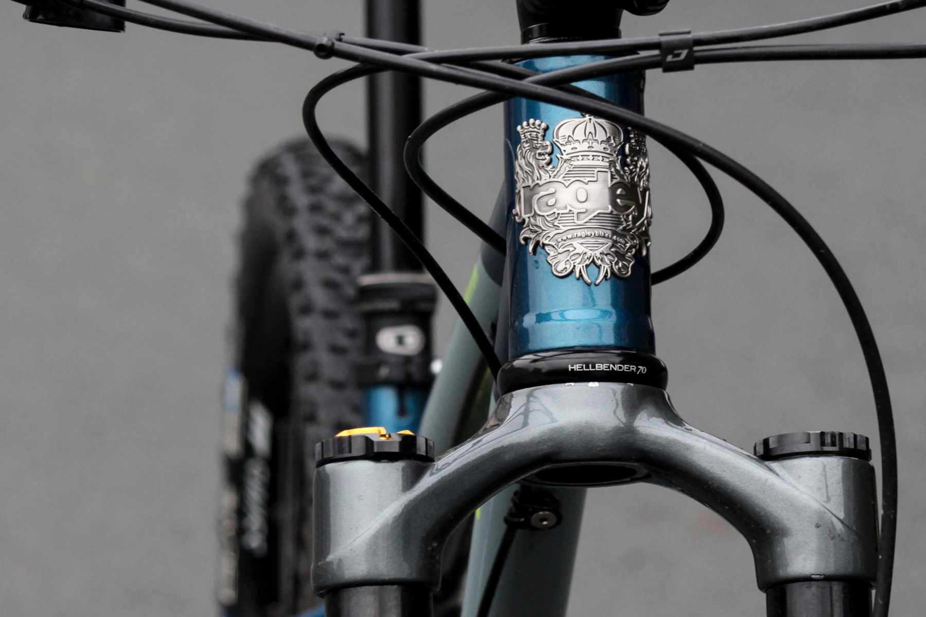 ragley bigwig custom build