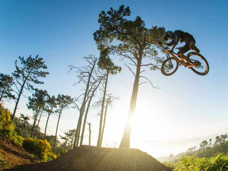 Brendan Fairclough Launches New Video Series | A Dog’s Life