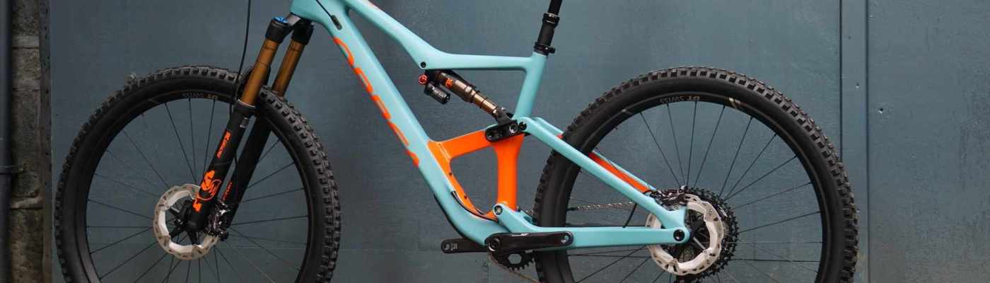 Orbea occam