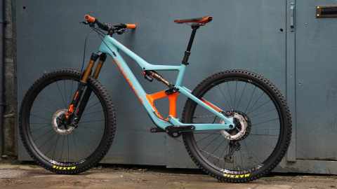 Orbea occam