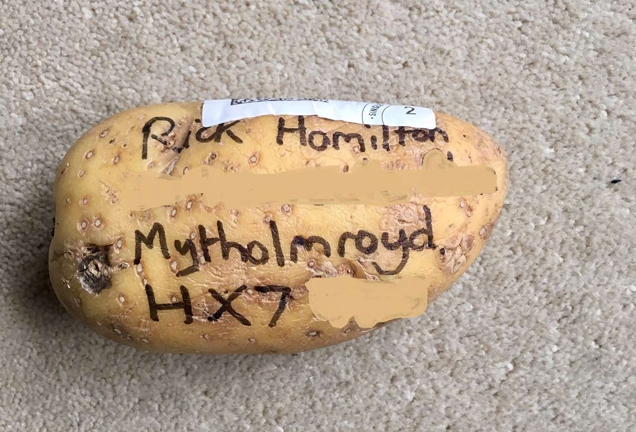 lockdown social isolation potato