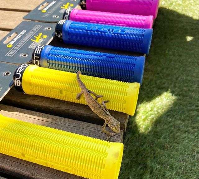 Backyard bikeparks and Chameleons this is what the pros do in lockdown part 2