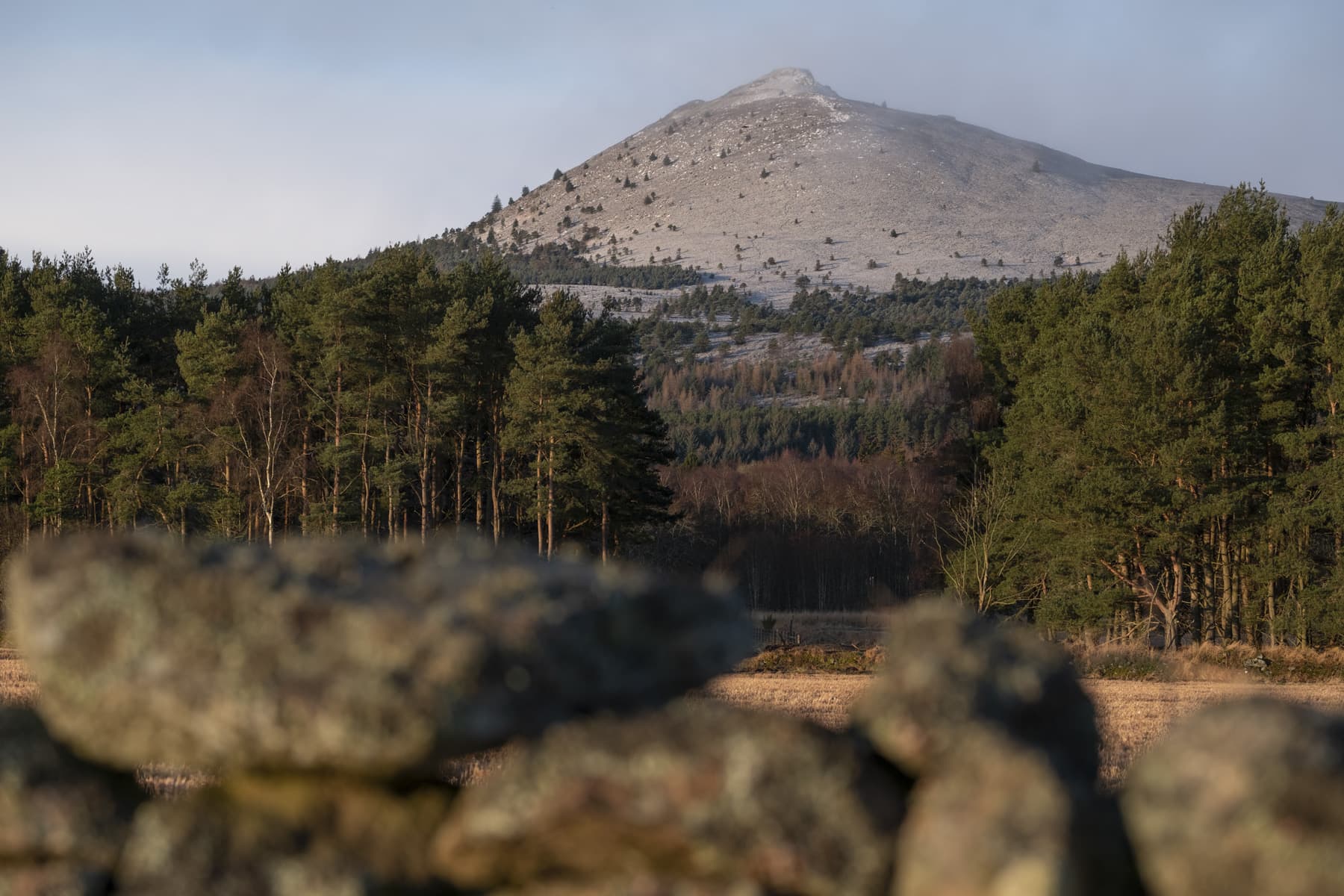 komoot classic ride 130 singletrack magazine bennachie classic ride