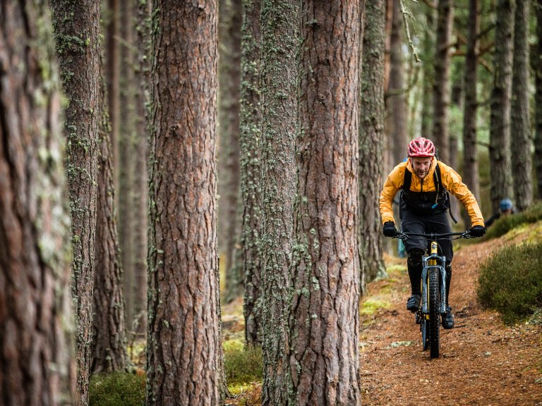 DMBinS Survey | What Trails Do You Want?