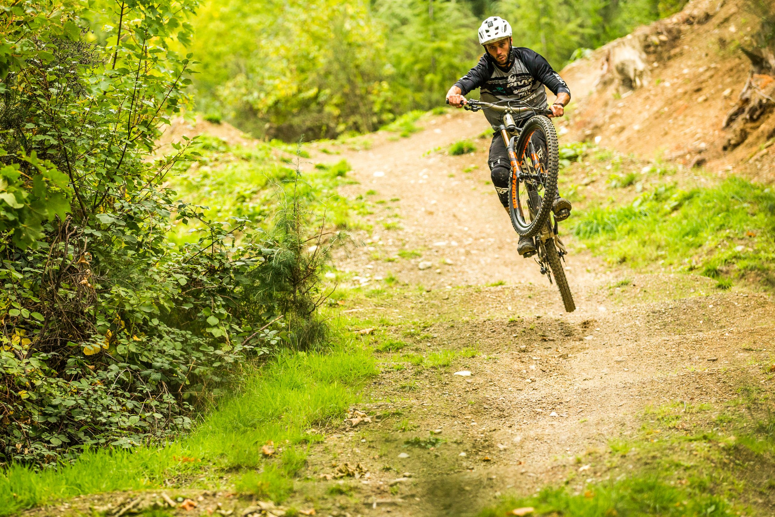 Eddie Masters Credit Pivot