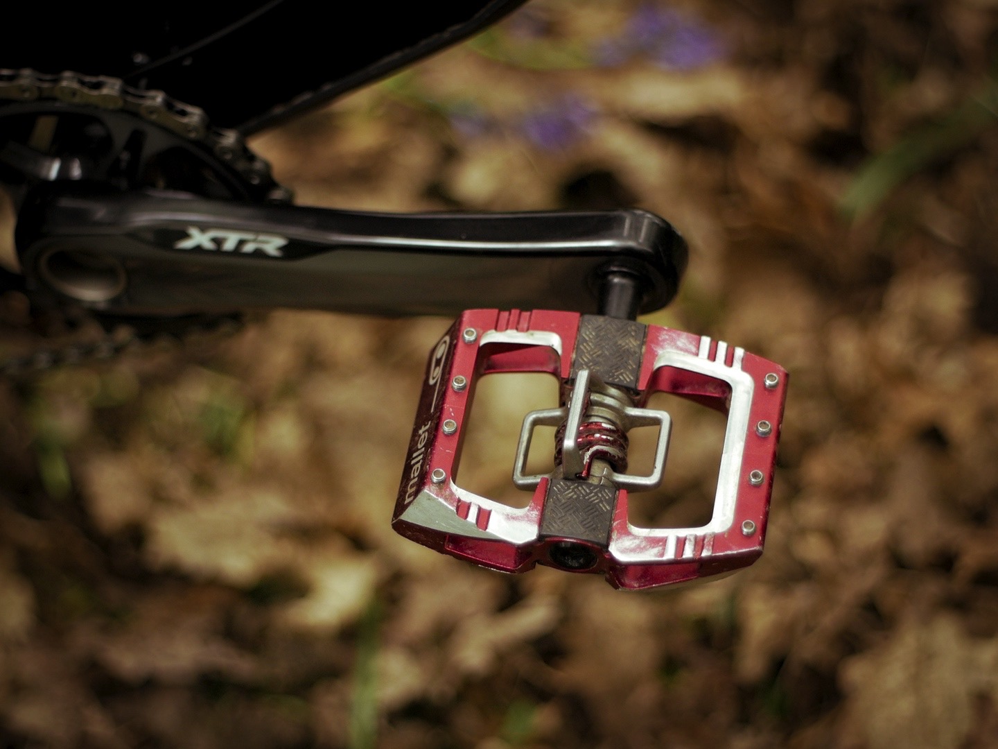 Bike Check: Chloe Taylor's custom Privateer 161