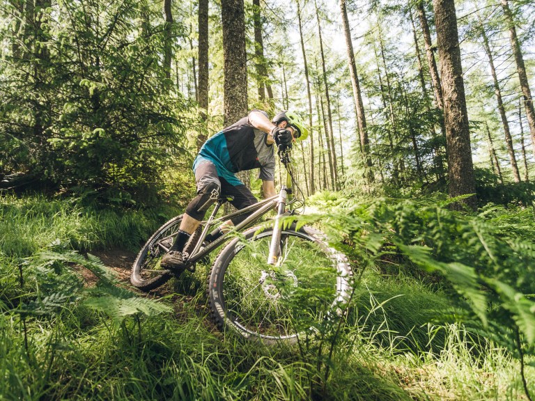 Pipedream Teases Updated Titanium Moxie Hardtail