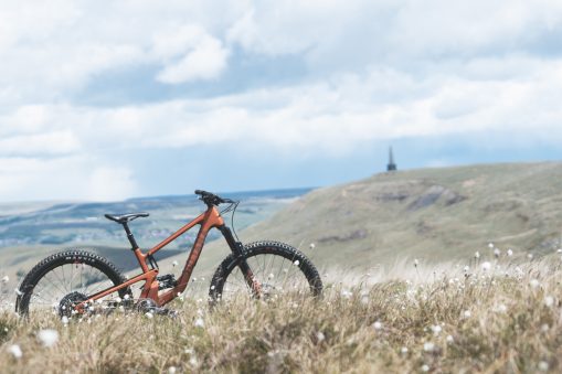 2021 Santa Cruz 5010 & Juliana Furtado: More travel!