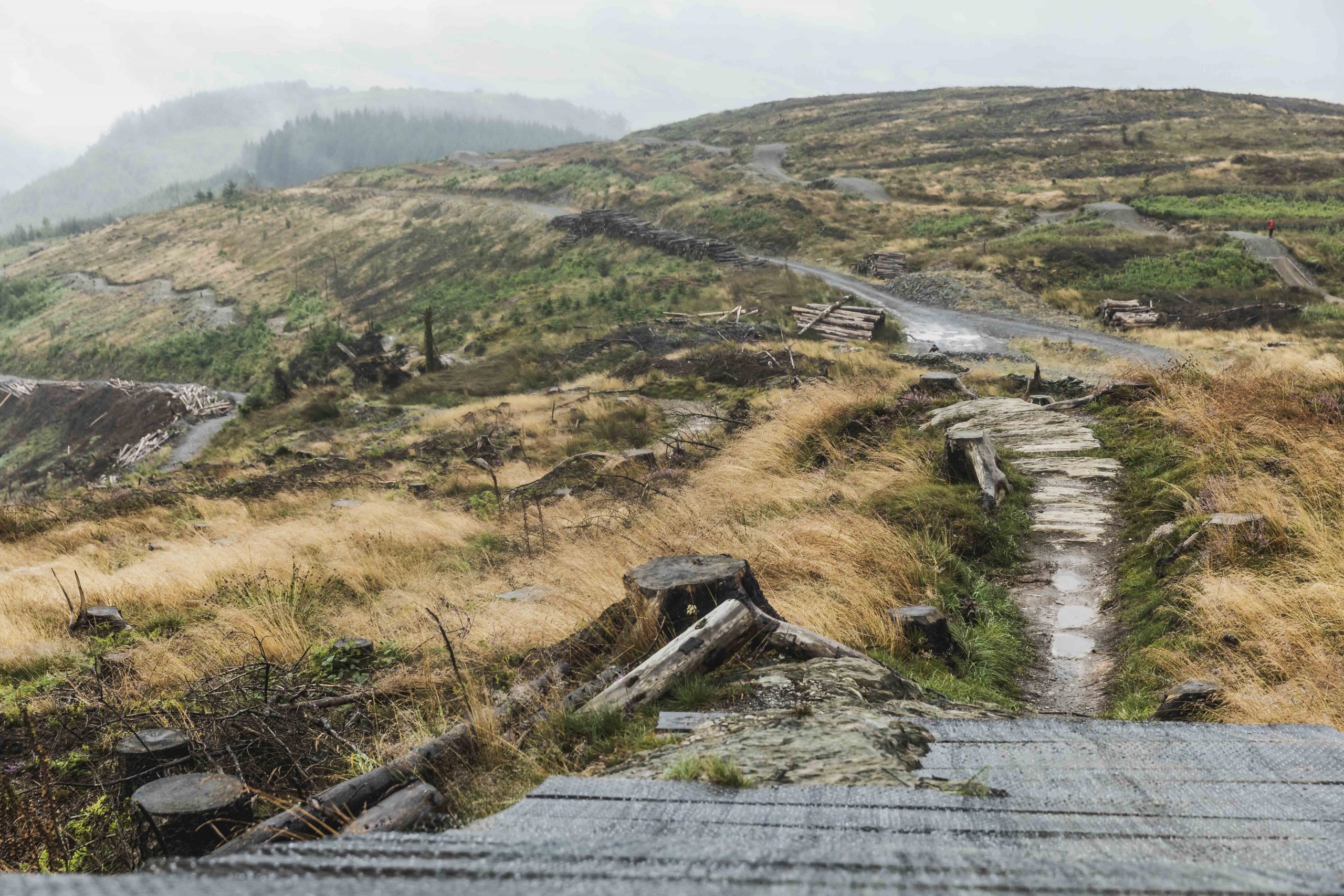 dyfi bikepark