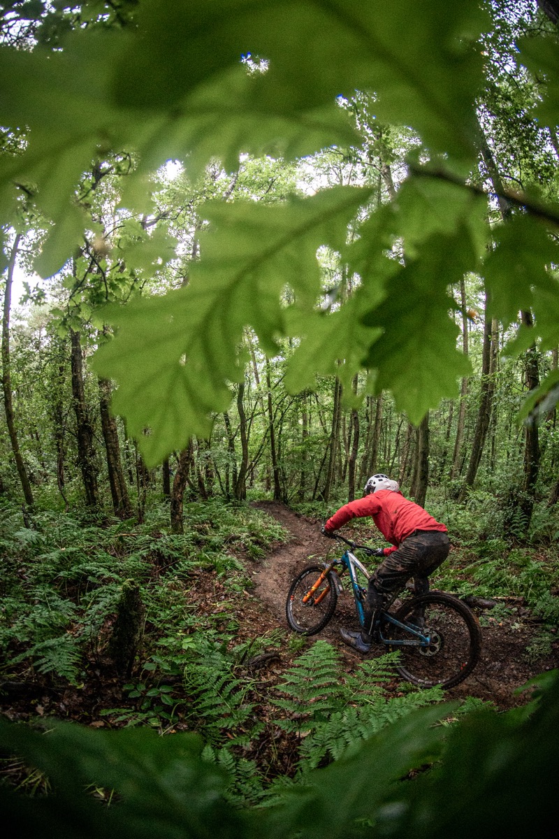 Matt Walker Corona Coaster