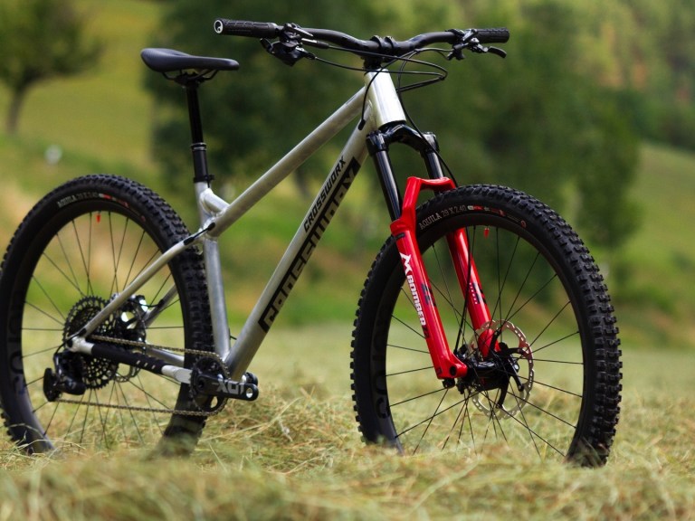 Rider owned Crossworx Cycles releases Zero 29 hardtail