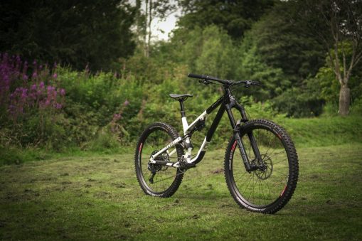 2 Bikes, 3000 Midges, 1 Puzzle | Fresh Goods Friday 510