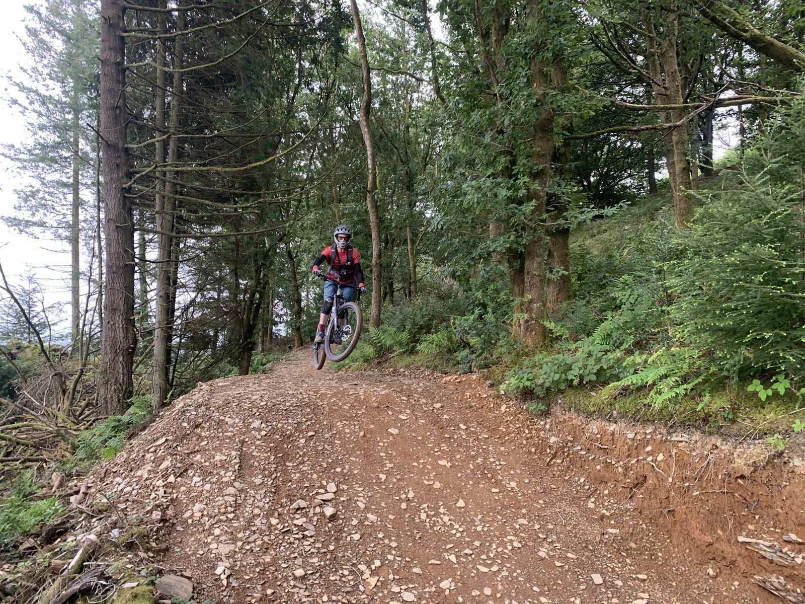 Dyfi Bike Park