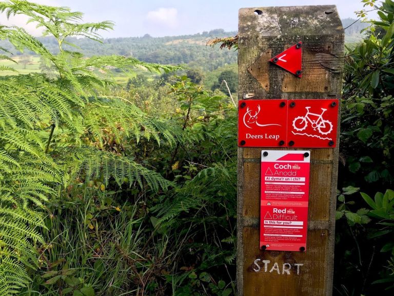 Mountain Biking In Wales Needs You!