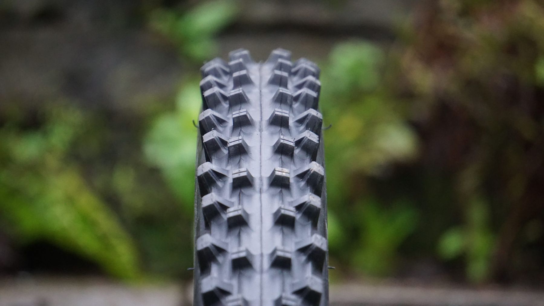 maxxis wetscream wet scream review