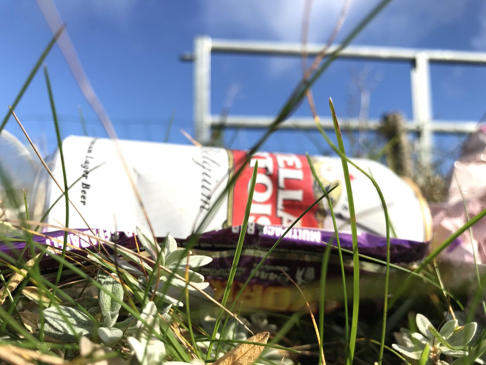 beer can rubbish litter