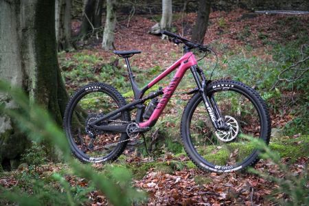 2021 Canyon Spectral CF 29 9.0