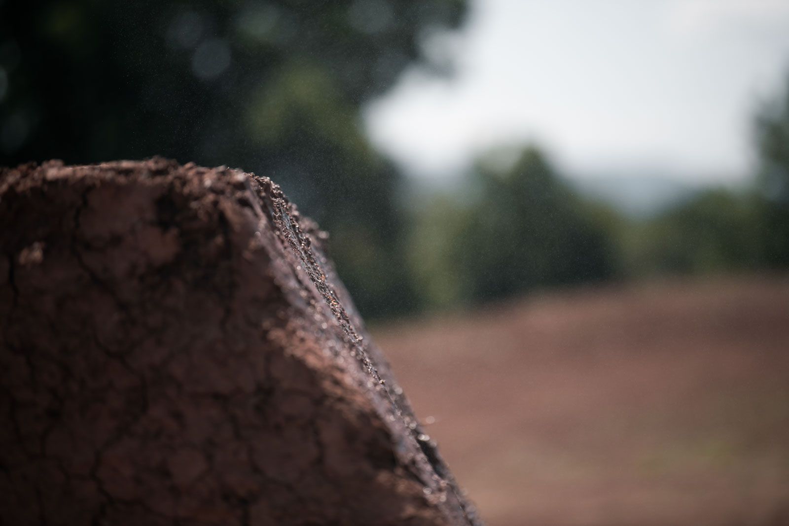 Roo Fowler Dog's Life Brendan Fairclough