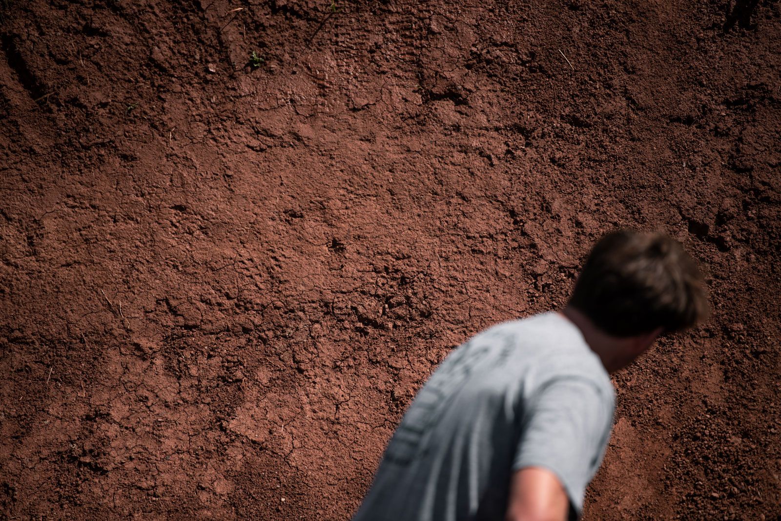 Roo Fowler Dog's Life Brendan Fairclough